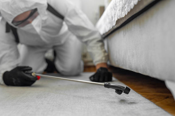 Professional Termite Control technician working in Old River-Winfree, TX