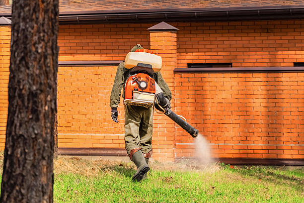 Trusted Cockroach Control service in Old River-Winfree, TX - Nex Pest Control